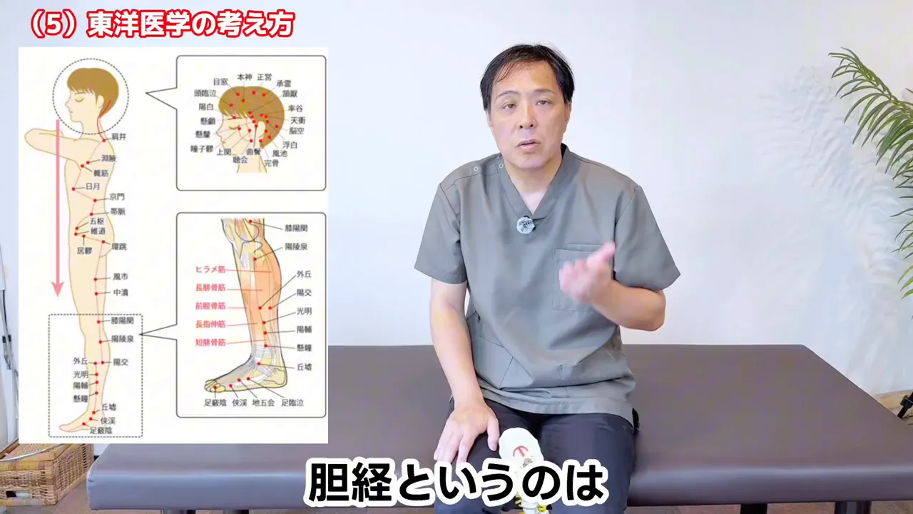 頭から足までの経絡のラインを示した人体図と、頭部と足の図