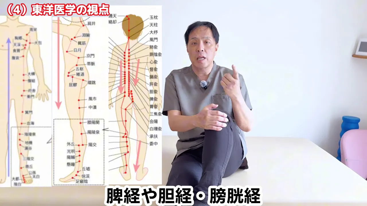 膝周辺を通る経絡図が表示された画面