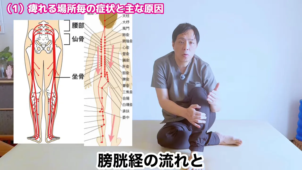 脚の後面ラインの図と経絡図が並んで表示されている画面