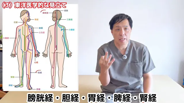 身体の前面と背面に経絡の線が描かれた図