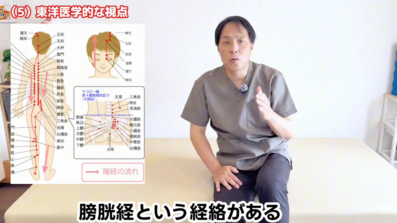 背中から脚へ続く膀胱経の経絡図