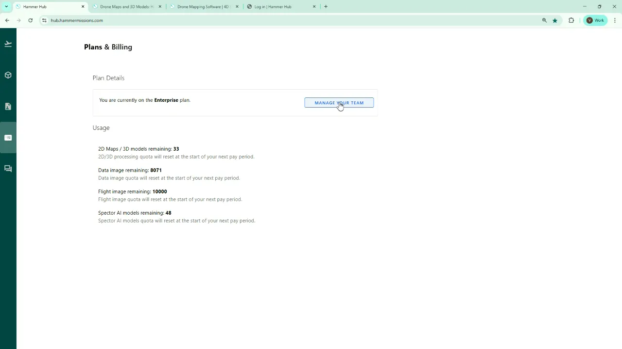 Plans and Billing overview with Manage your team option