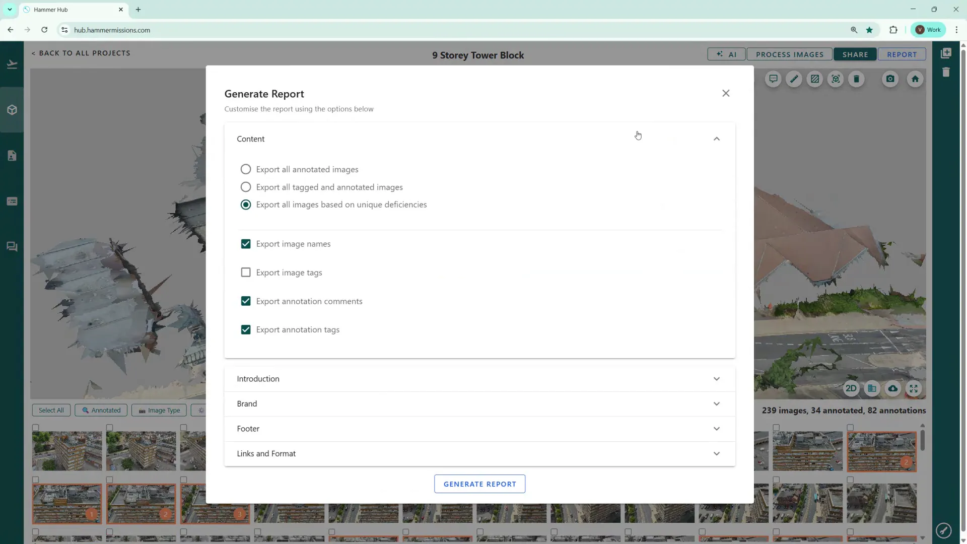 Report options dialog with customisation choices
