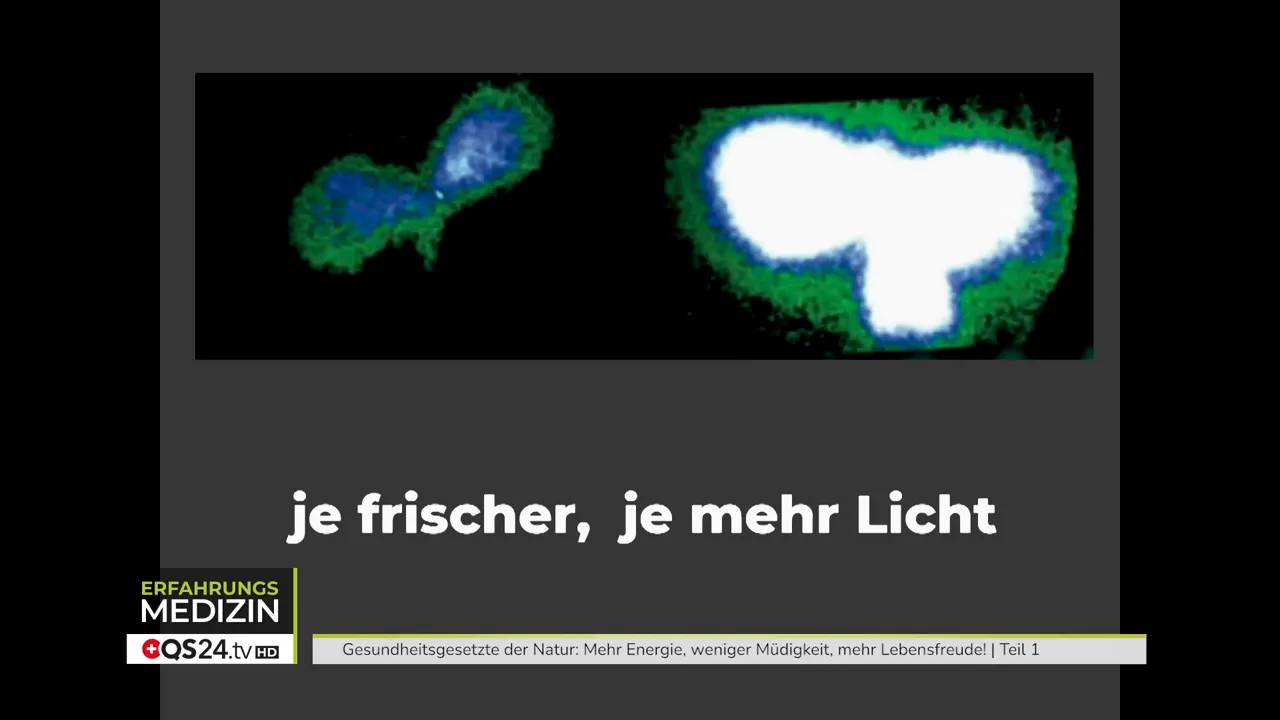 Sprossen: Nur Leben erzeugt Leben - Interview mit Marco von Moos, Landwirt und Sprossenspezialist 1 Präsentationsfolie mit Bio-Photonen-Bildern und Text 'je frischer, je mehr Licht'