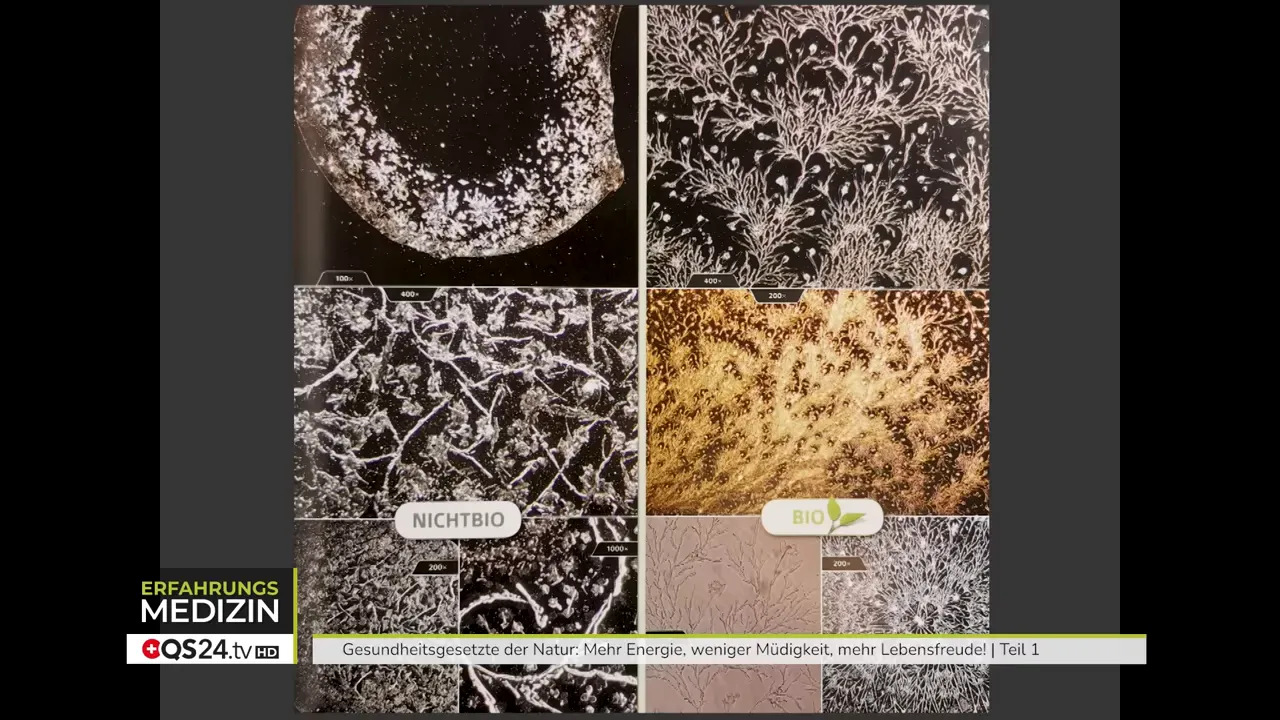 Sprossen: Nur Leben erzeugt Leben - Interview mit Marco von Moos, Landwirt und Sprossenspezialist 2 Kristallisationsbilder im Vergleich mit Beschriftung 'NICHTBIO' links und 'BIO' rechts