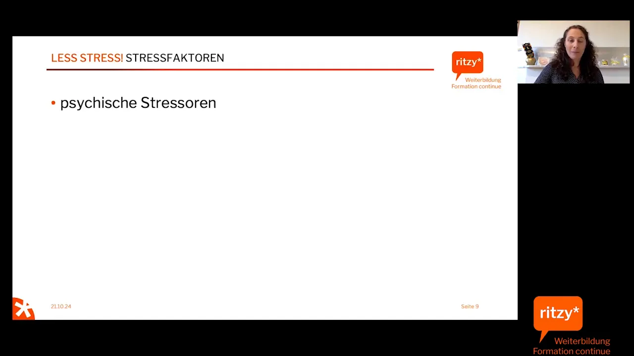 Kategorien der Stressfaktoren