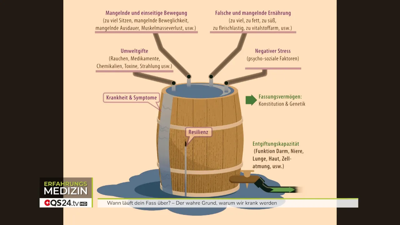 Detailaufnahme der oberen Zuläufe des Fasses: Umweltgifte und Noxen