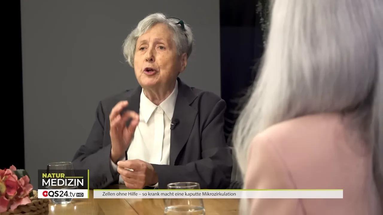 Schema: Arteriolen, Kapillaren und Venolen im Organ