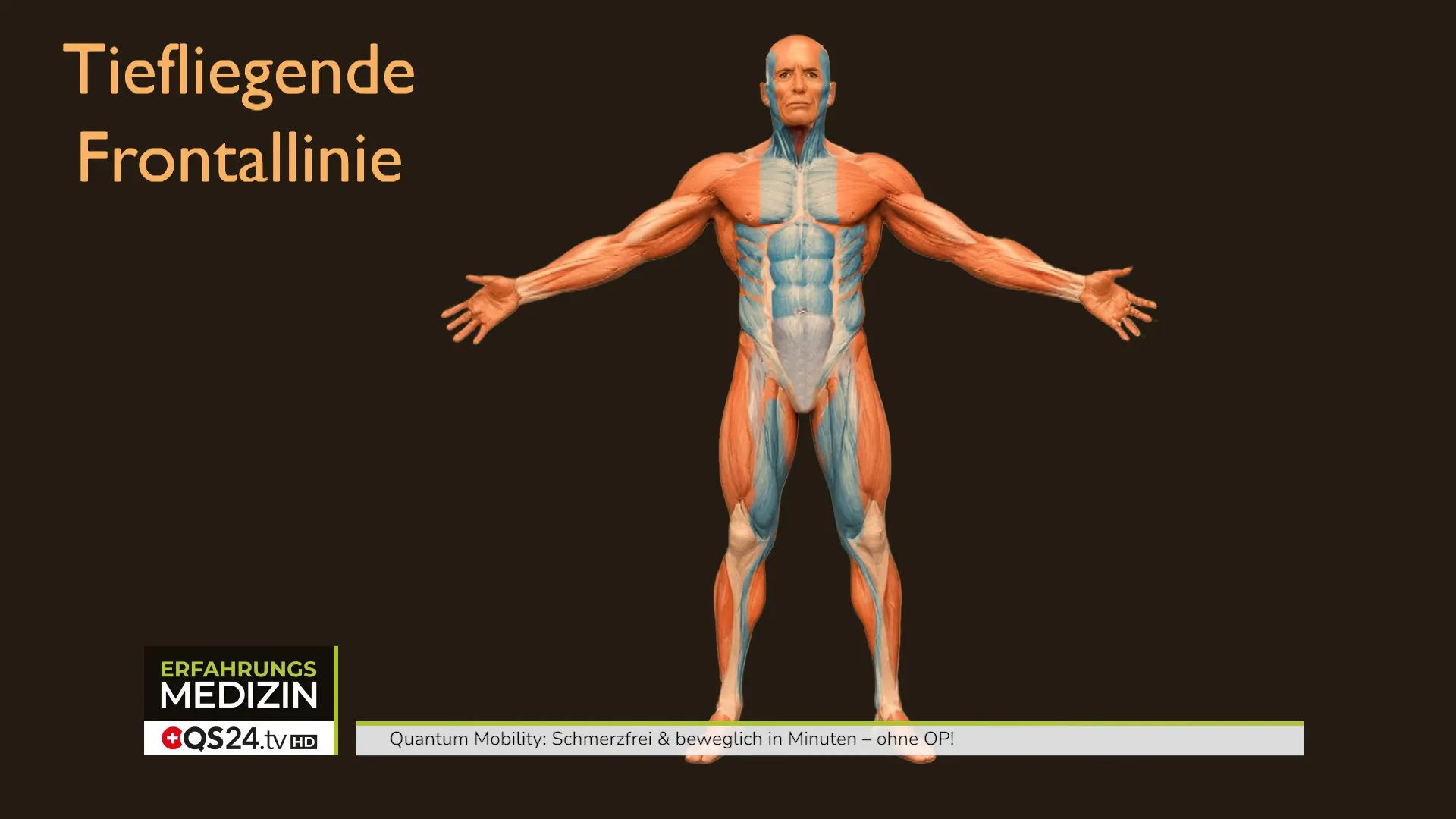 PowerPoint: myofasziale Meridiane und Frontallinie