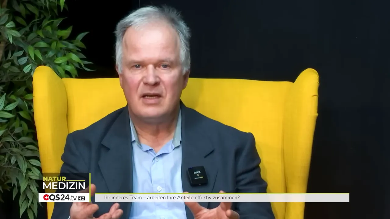 Grafik: das innere Team vorgestellt