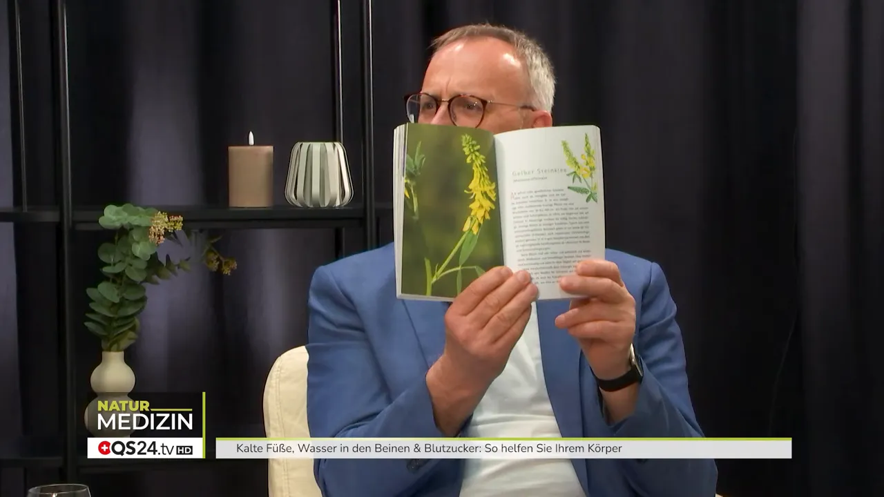 Gelber Steinklee: Abbildung im Buch