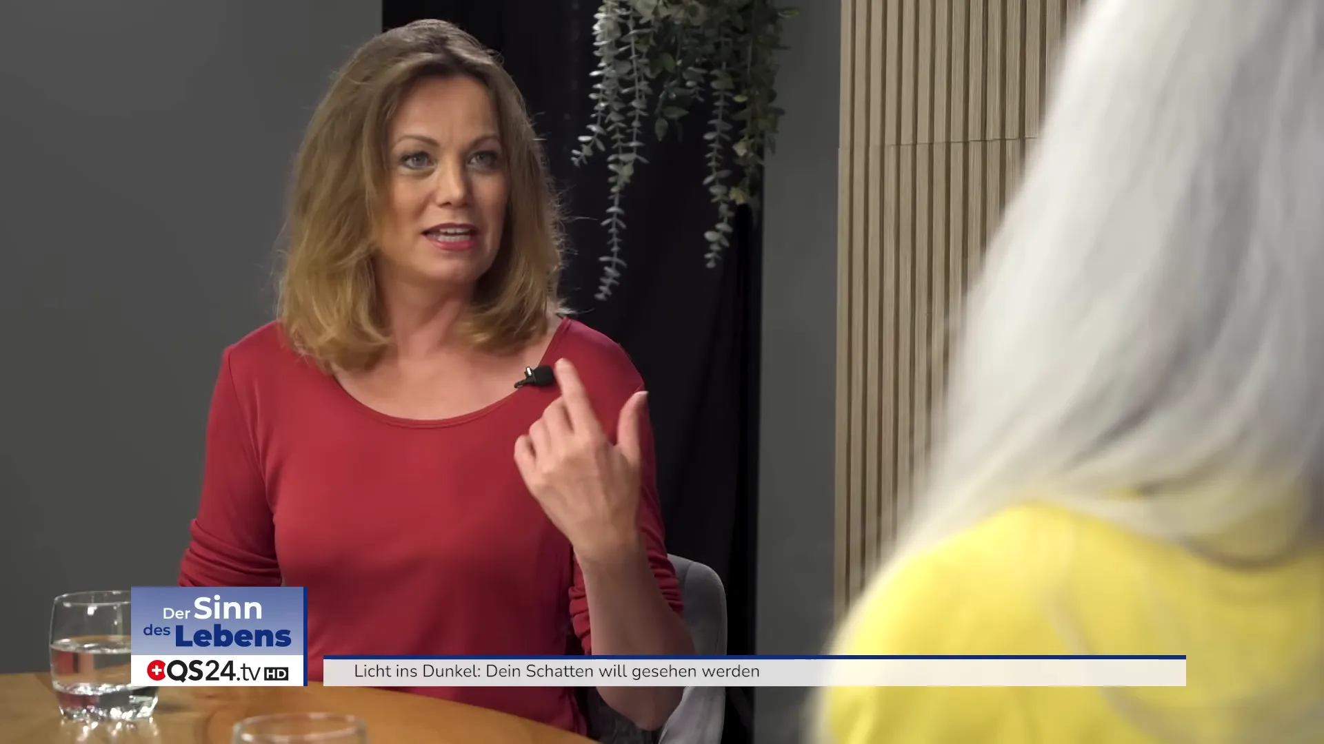 Talk über Höhenangst und Fallschirmspringen