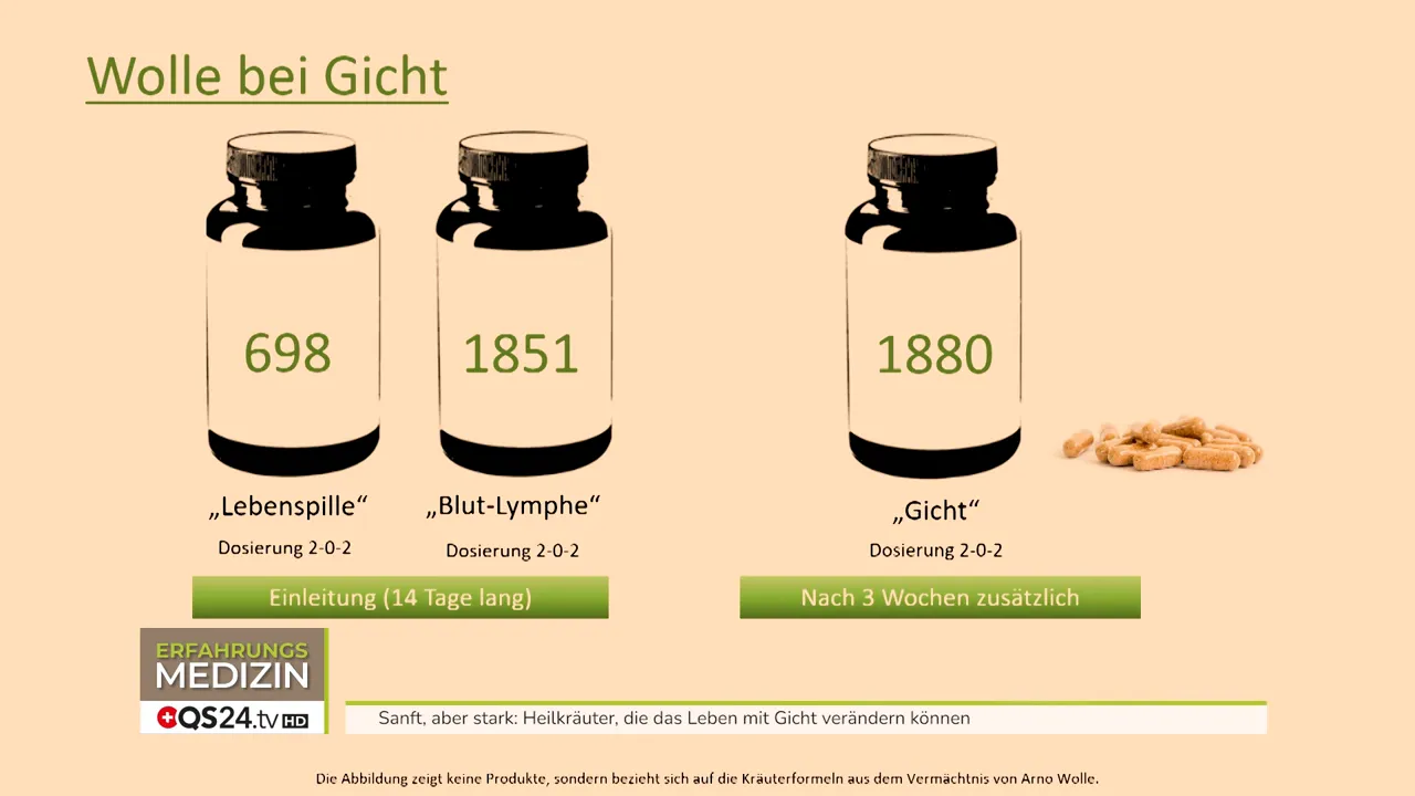 Die 'Lebenspille' und die Blut-Lymph-Mischung als Vorbereitung