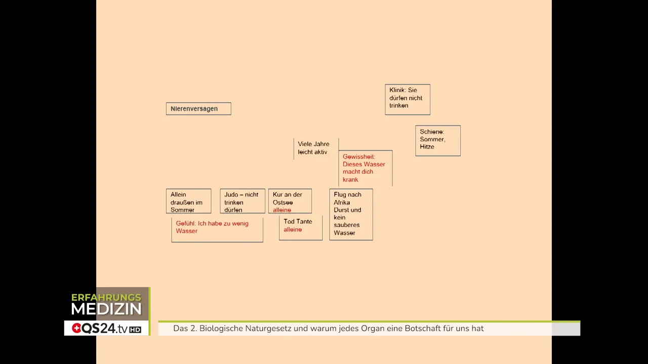 Psyche, Gehirn und Organe im Zusammenspiel - Interview mit Evelyn Schurr und Brigitte Henseler, Heilpraktikerinnen und Dozentinnen für biologisches Heilwissen 4 Erinnerung: als Kind im Sommer allein draußen gespielt