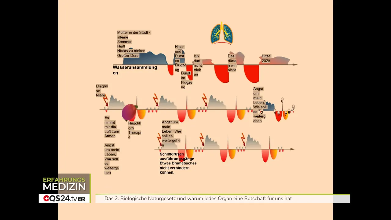 Psyche, Gehirn und Organe im Zusammenspiel - Interview mit Evelyn Schurr und Brigitte Henseler, Heilpraktikerinnen und Dozentinnen für biologisches Heilwissen 2 Kurvenbild: Sympathikotonie (blau) und Vagotonie (rot)