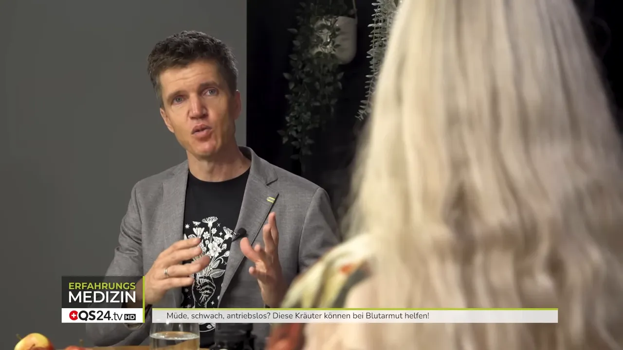 Grafik: Hepcidin blockiert die Eisenfreisetzung in Entzündungszuständen