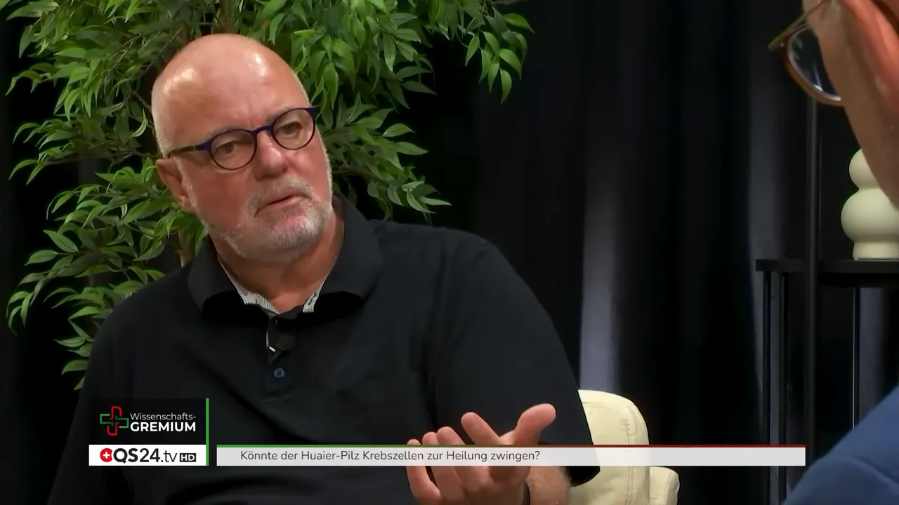 Erklärung: Tumorzellen als Reaktion auf ein gestörtes Milieu