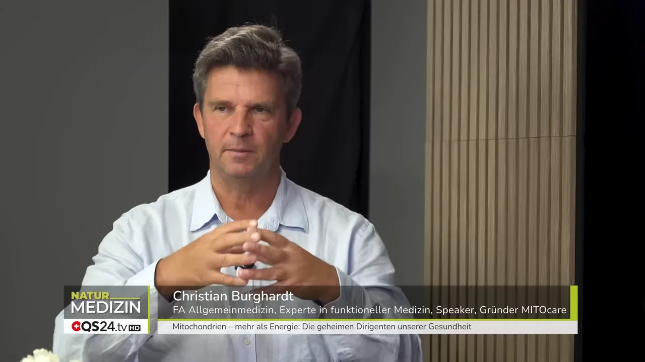 Die vier essentiellen Bausteine einer Mitochondrien-Therapie