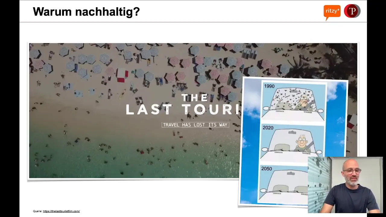 Windschutzscheibe mit fehlender Biomasse: sichtbarer Biodiversitätsverlust