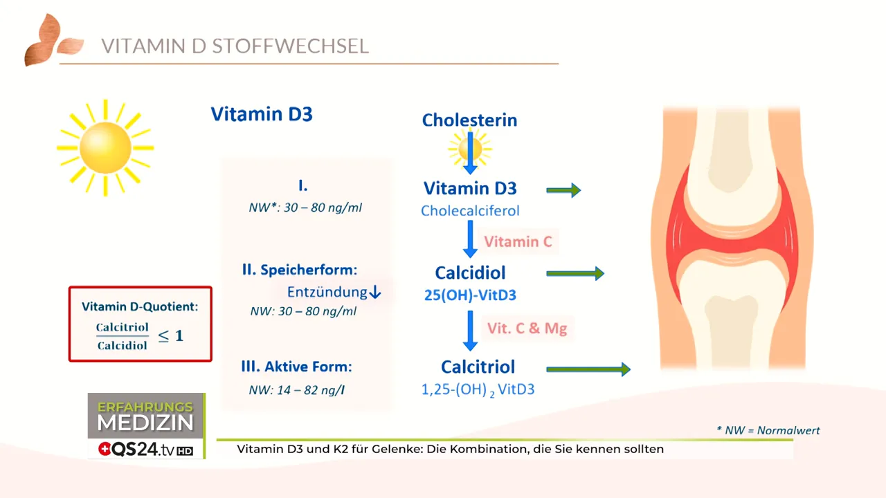 Hinweis: Vitamin D wird aus Cholesterin gebildet
