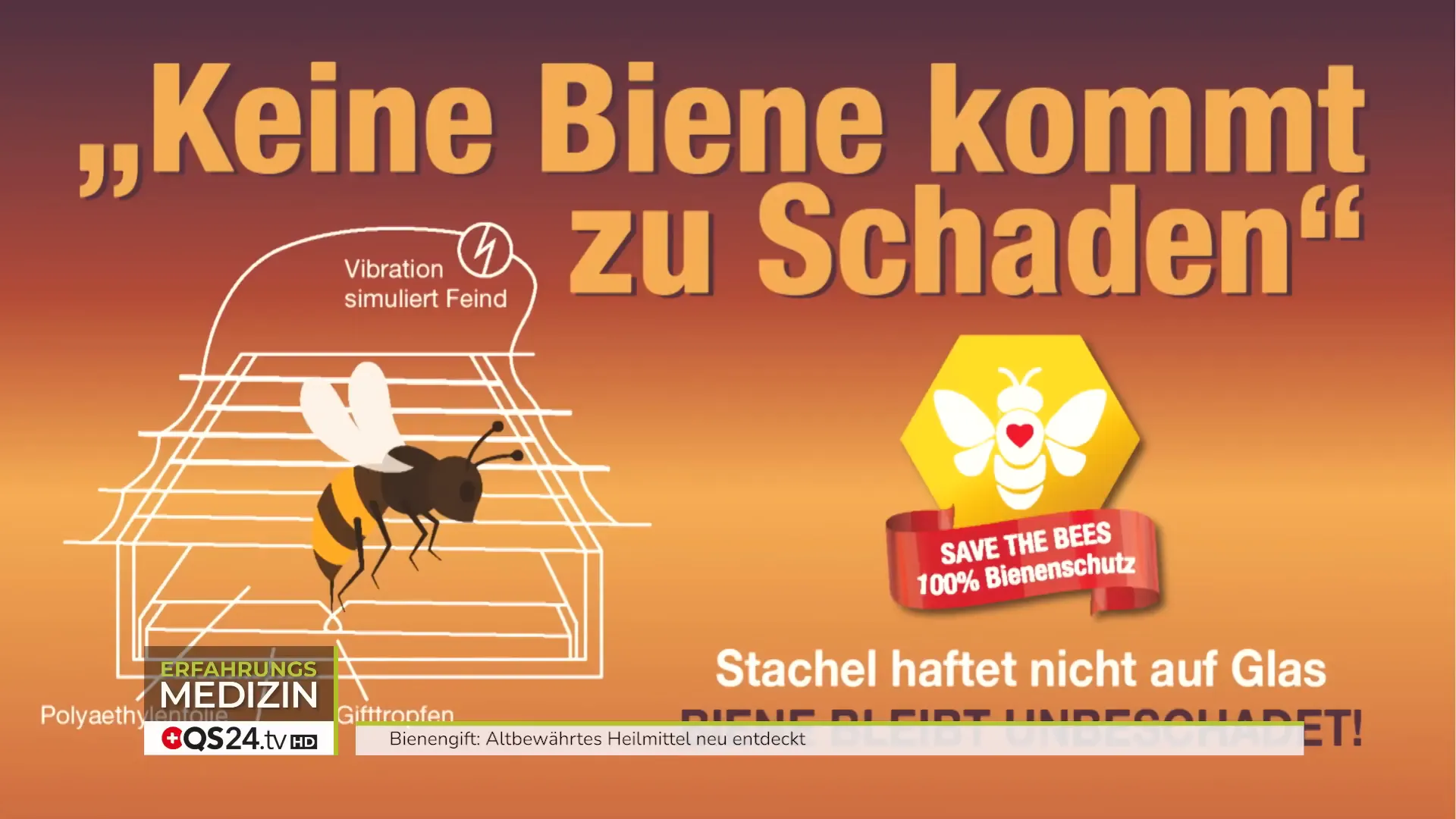 Schonende Bienengift-Ernte mit Glasplatten im Bienenstock