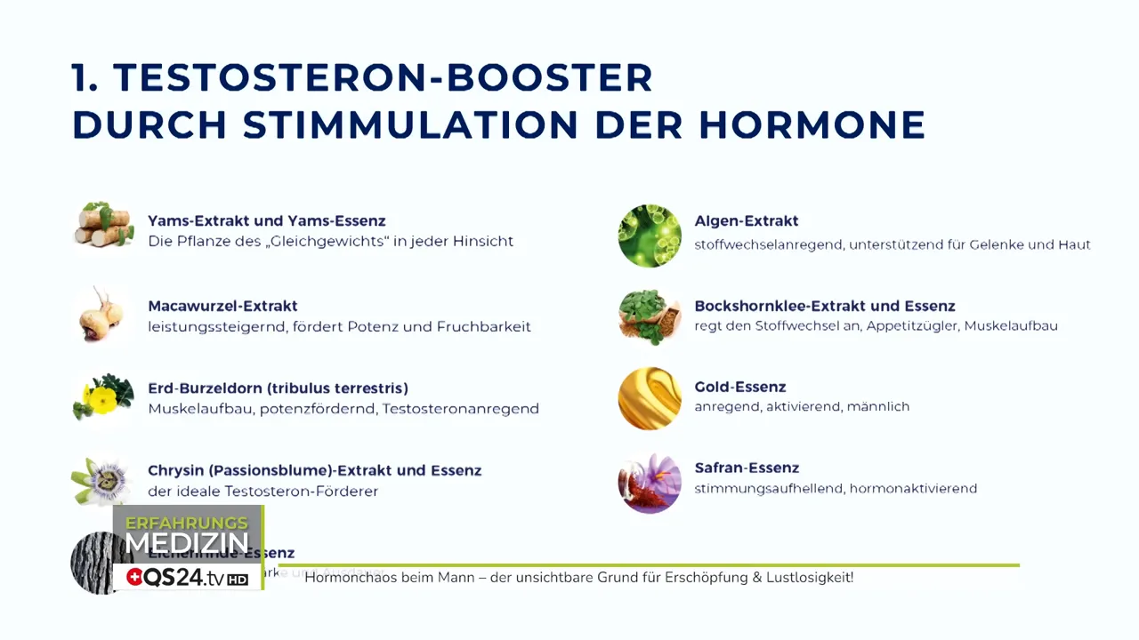 Folie: 'Testosteron‑Booster' — Liste mit Yams, Maca, Tribulus, Algen, Safran etc.; klare Übersicht