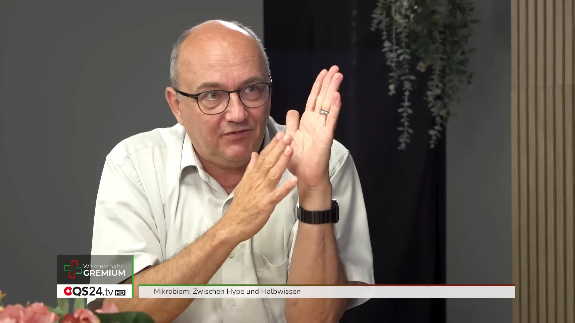 Metapher: Urwald versus Nadelwald als Bild für Diversität