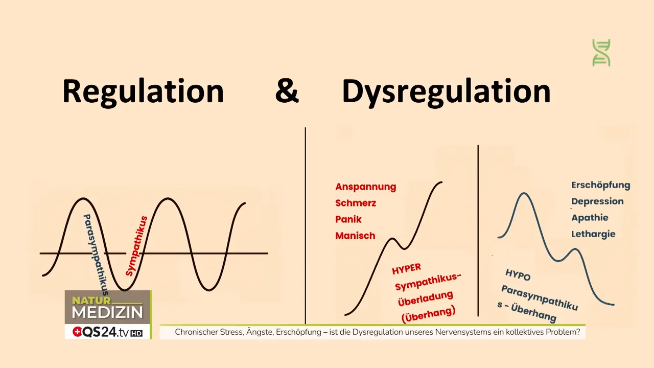 Stress, Nervensystem und Prävention - Interview mit Timo Janisch, Epigenetik‑Coach und TraumaDialog Practitioner 3 Diagramm ‚Regulation & Dysregulation‘ mit Wellen, Hyper‑Sympathikus‑Überladung und Hypo‑Parasympathikus‑Überhang