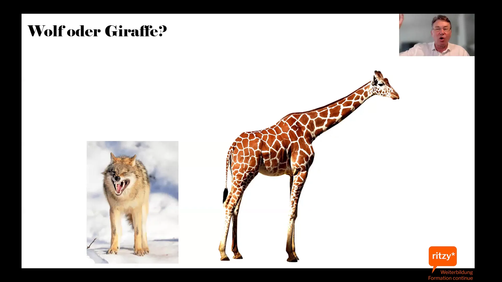 Giraffe statt Wolf: gewaltfreie Kommunikation