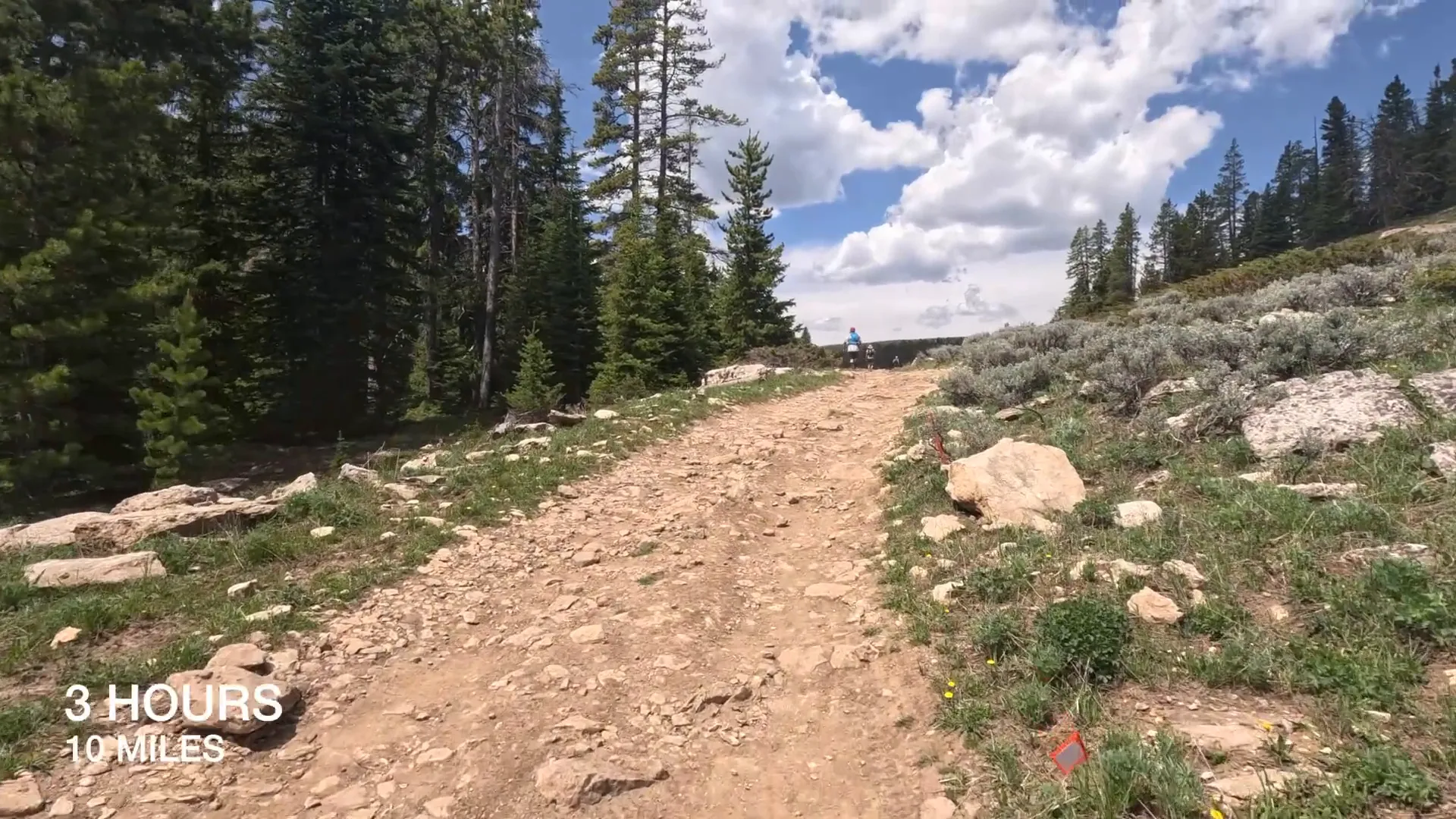 Trail views during the BIGHORN 100