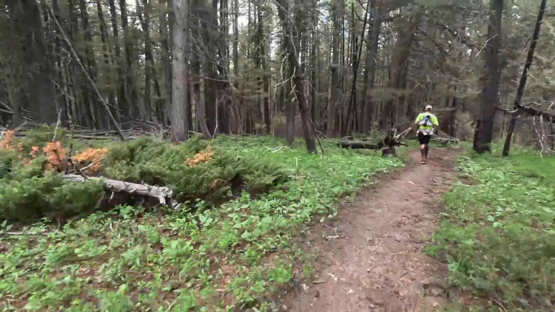 Struggling with foot care during the BIGHORN 100