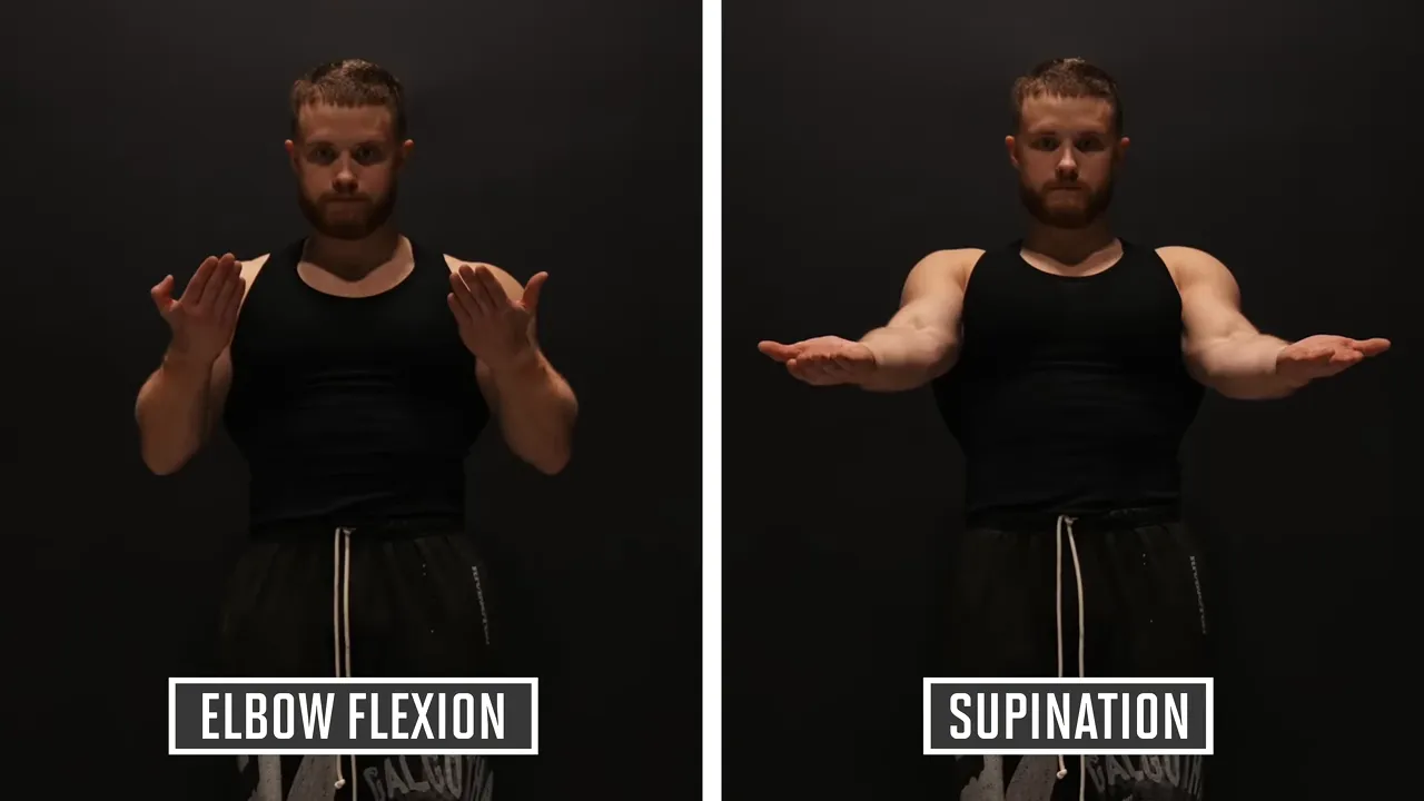 Side-by-side demonstrations labeled elbow flexion and supination