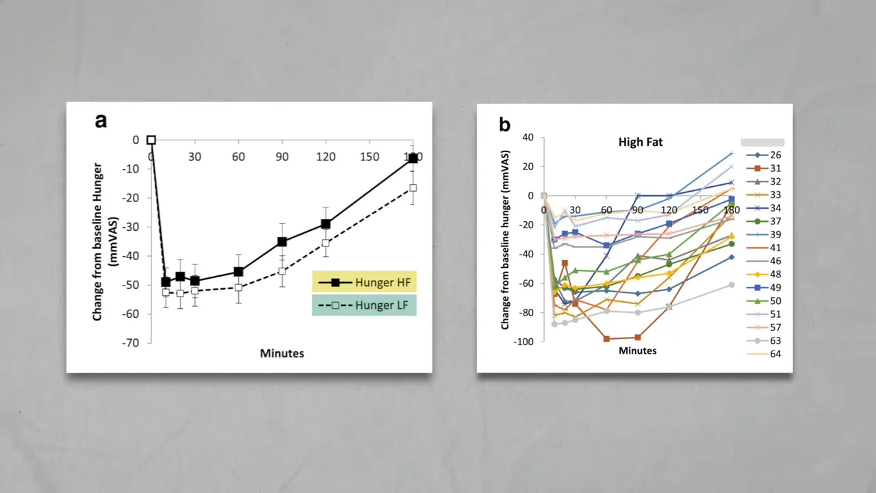 Side-by-side hunger charts showing average responses and multiple individual response lines