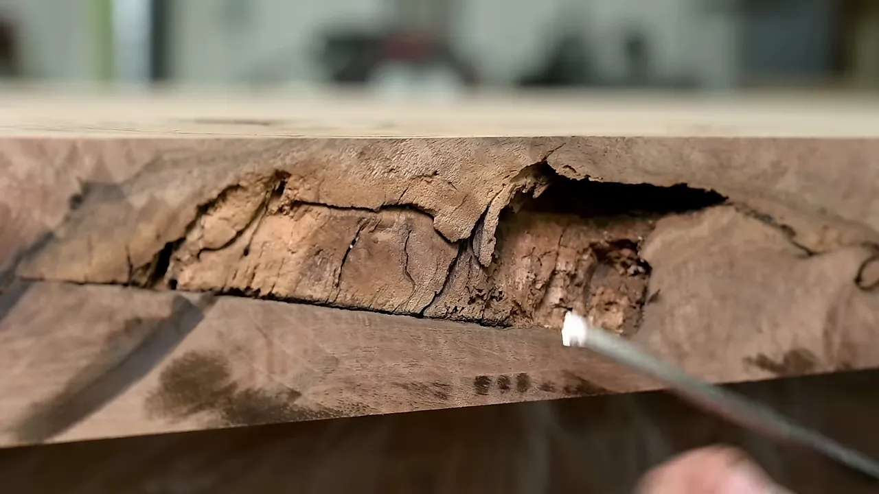 Close-up of a decayed limb cavity exposed along the slab edge