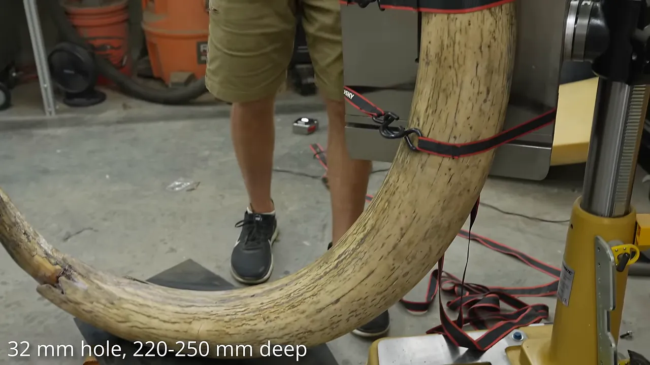 The mammoth tusk strapped upright beneath a drill press beside wooden supports