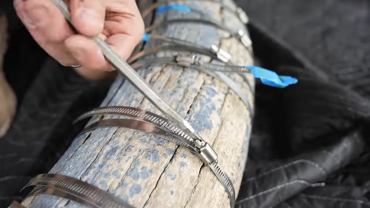 Hands adjusting a metal hose clamp around the cracked mammoth tusk