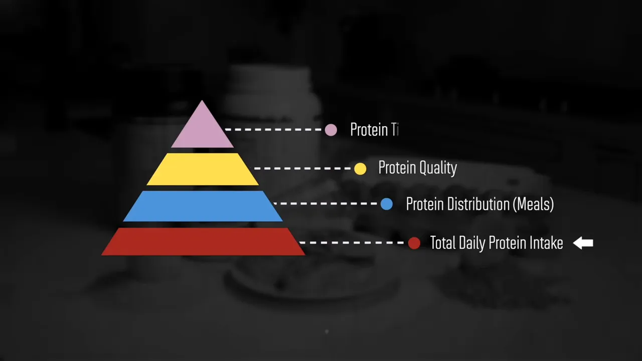 Four-level pyramid labeled total daily protein intake, protein distribution, protein quality, and protein timing