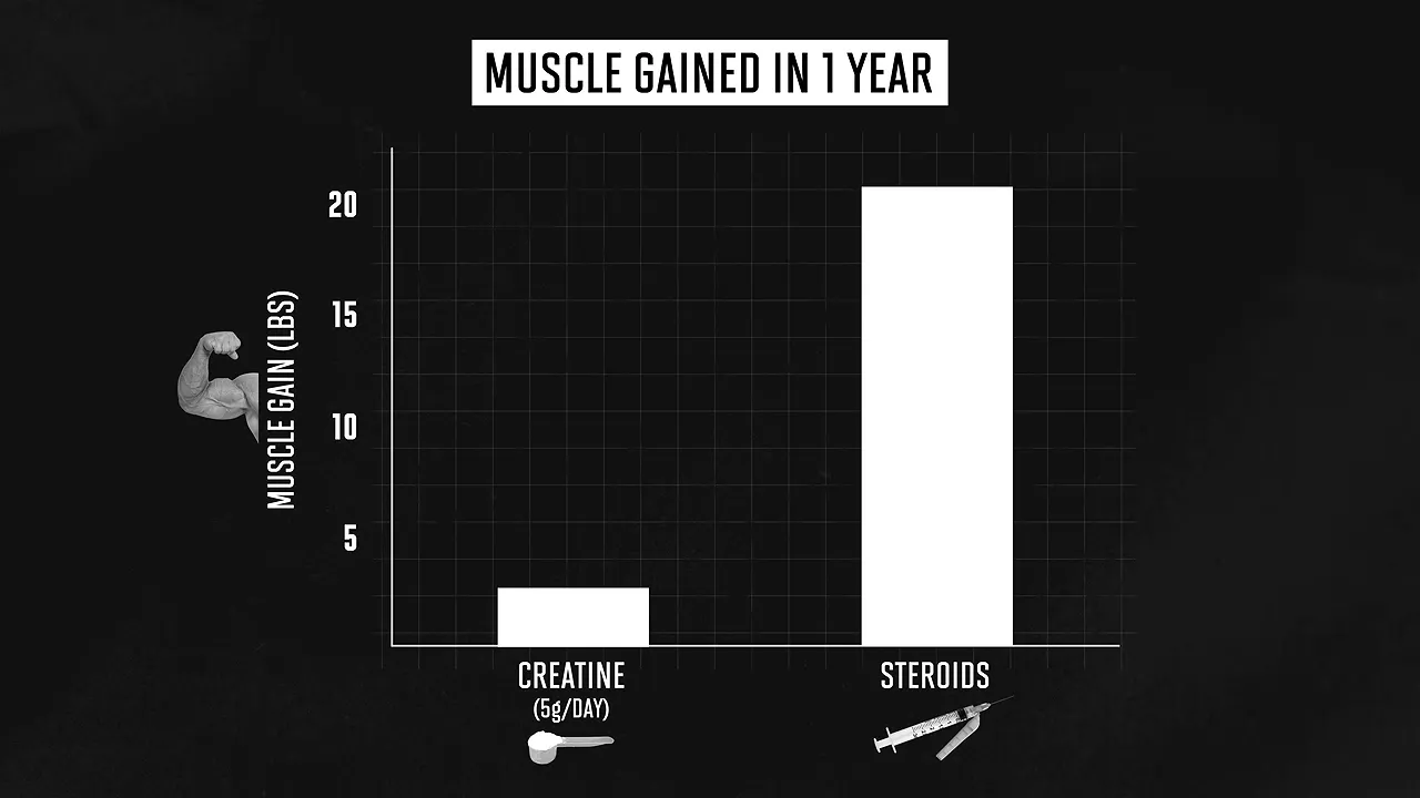 Bar chart comparing estimated muscle gained in one year with creatine and steroids