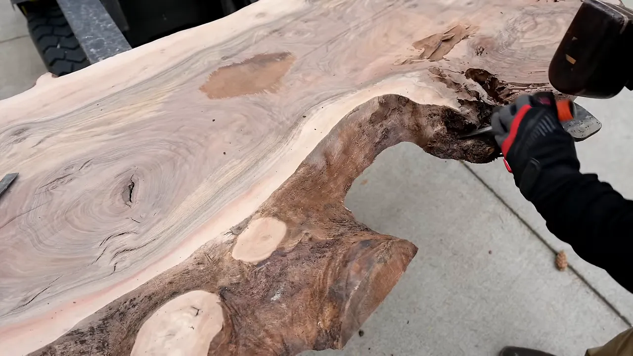 Gloved hands removing bark from a walnut slab's irregular live edge