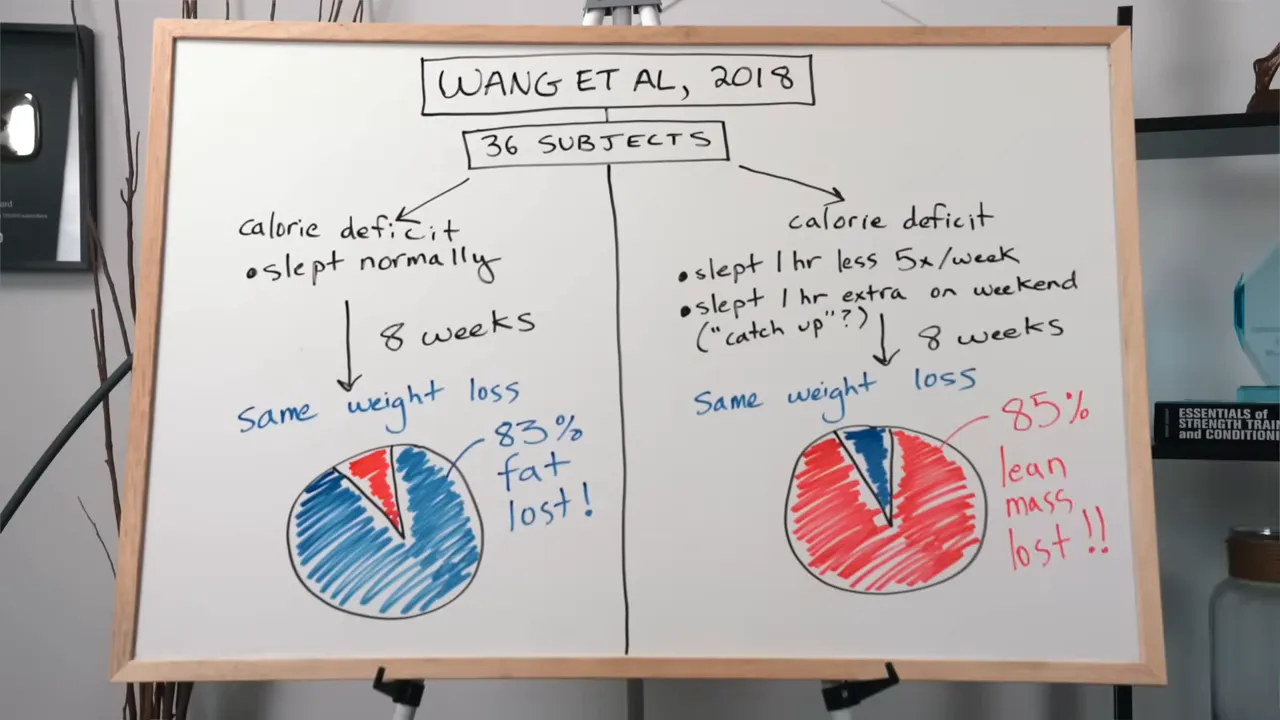Whiteboard comparing normal sleep and restricted sleep during calorie restriction, with pie charts showing different fat and lean mass losses