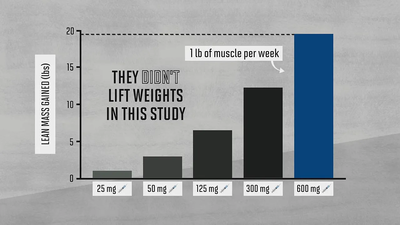 Bar chart showing increasing lean mass gains across five testosterone doses with text stating participants did not lift weights
