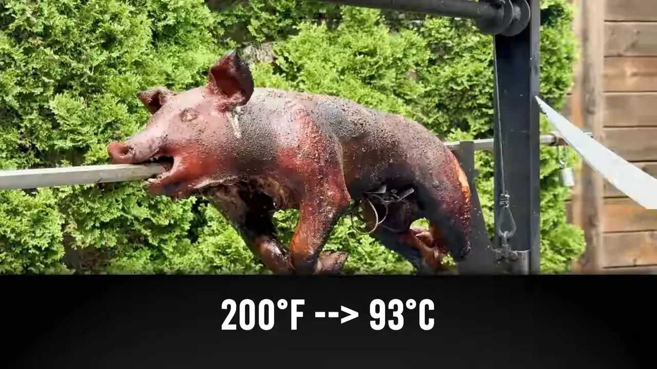Dark roasted pig on a spit with a knife against the skin and a 200°F to 93°C label