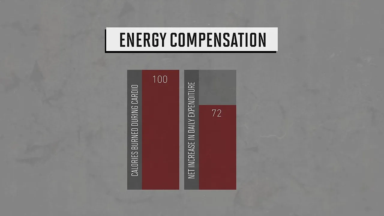 Energy compensation graphic comparing 100 calories burned through cardio with 72 additional calories of total expenditure