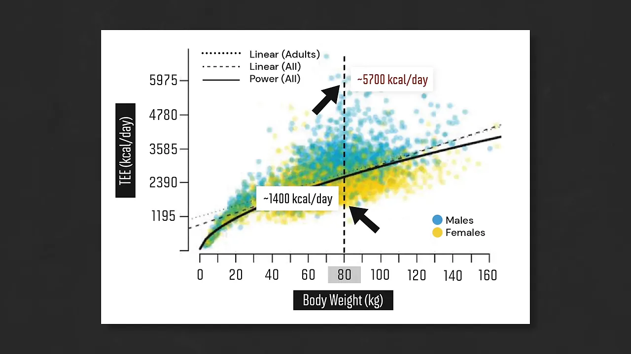 Scatterplot of daily energy expenditure versus body weight with annotations near 1400 and 5700 calories at 80 kilograms