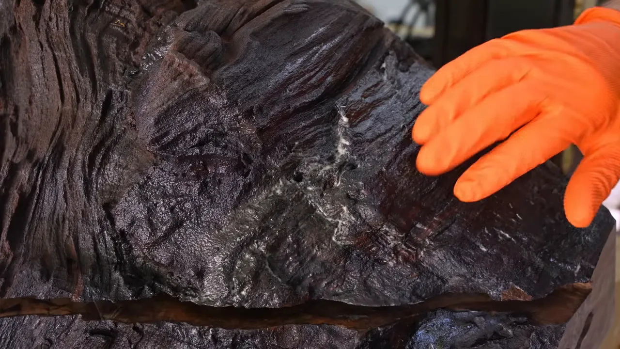 Orange-gloved hand pointing at pale residue on the dark textured walnut