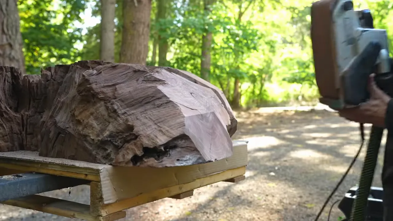 Walnut burl with angular flat faces beside its rough natural edge