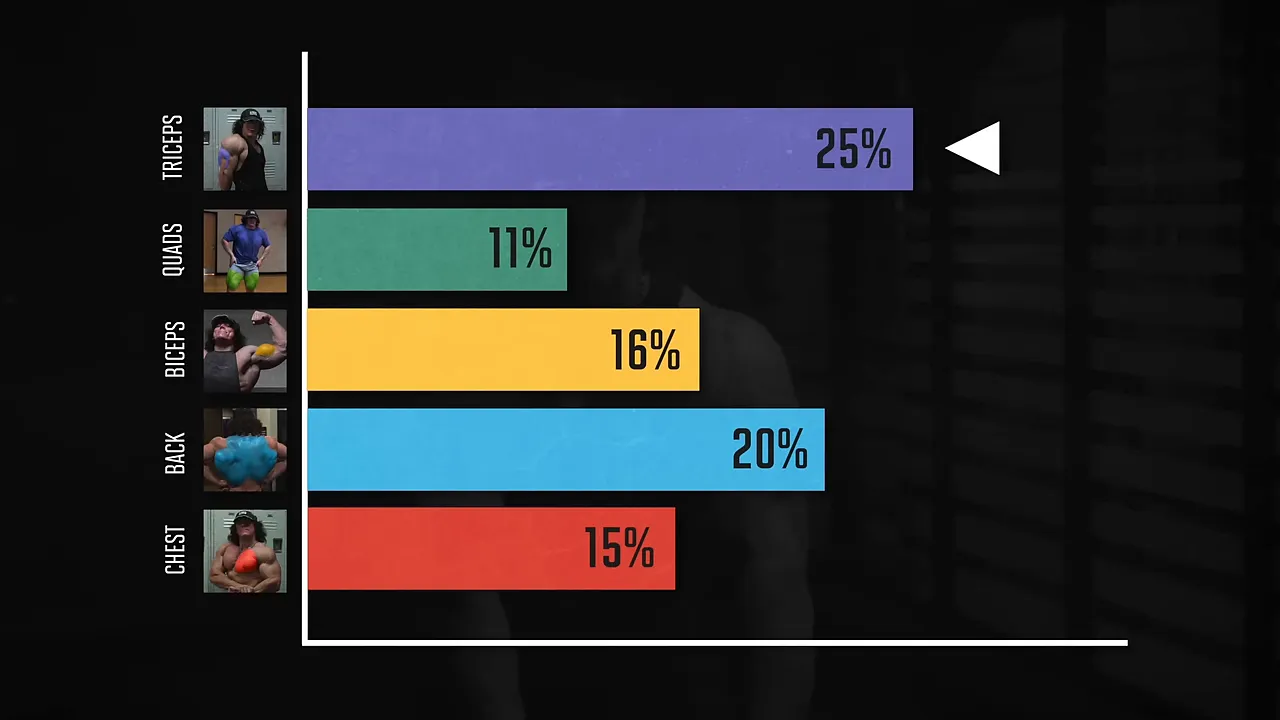 Bar chart showing training percentages for chest, back, biceps, quads, and triceps