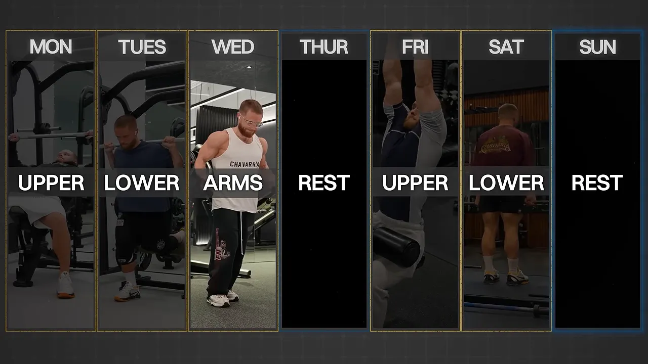 Weekly training graphic showing upper, lower, arms, and rest days
