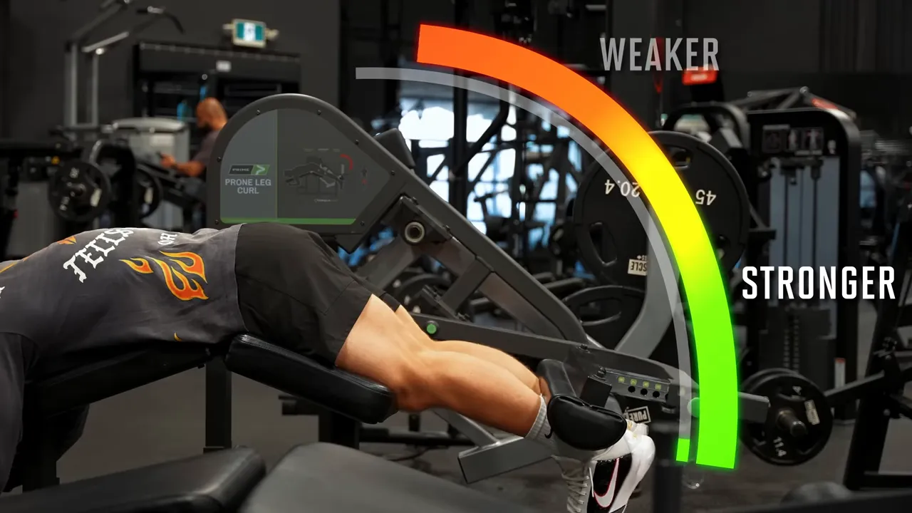 Lying leg curl demonstration with a colored arc labeling weaker and stronger portions of the movement