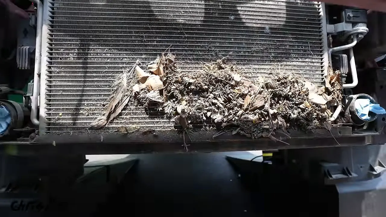 Leaves and road debris packed across the lower portion of the exposed front heat exchanger